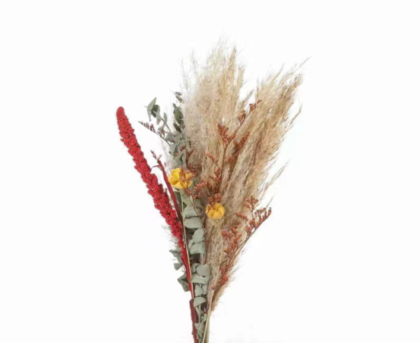 Flor seca - ZH-26