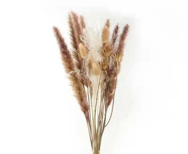 Flor seca - ZH-8