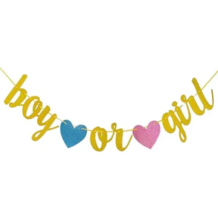 Boy or girl banner revelación de genero