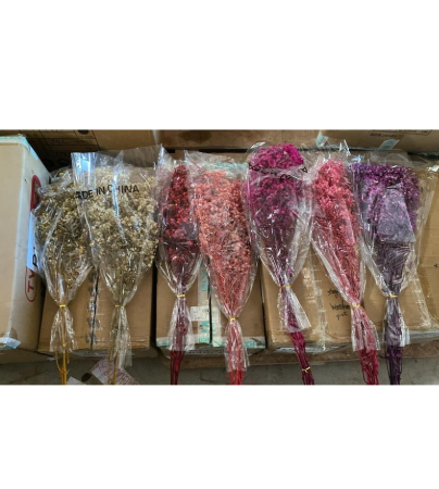 Flor seca - 0499-1