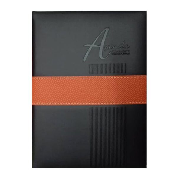 POINTER AGENDA 22*15CM - Imagen 3