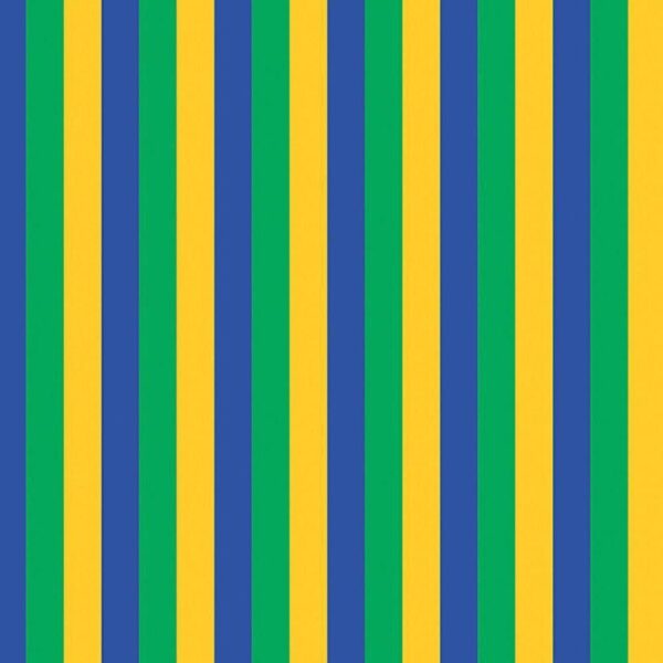 BRW GOMA EVA RAYAS BRASIL 1PC - Imagen 2