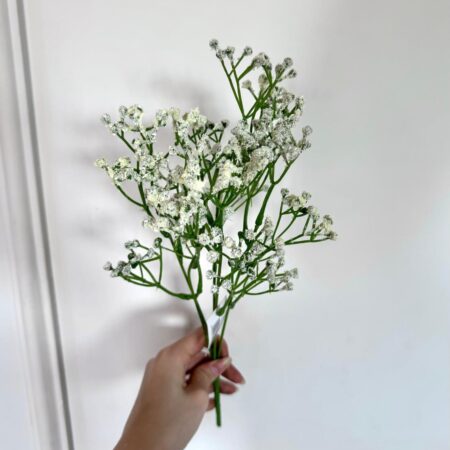 Flor lluvia Gypsophila - WF-5 - Mayorista 12 unidades