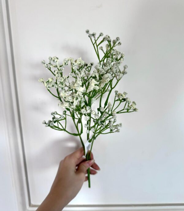 Flor lluvia Gypsophila - WF-5
