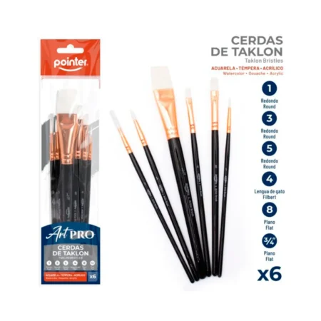 POINTER PINCEL 6PC