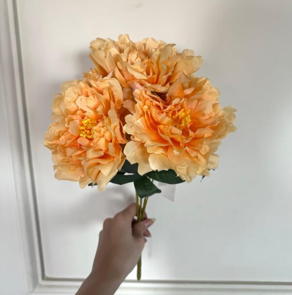 Peonía lactiflora 5 varas 40cm - GHW-2024033 - Imagen 10