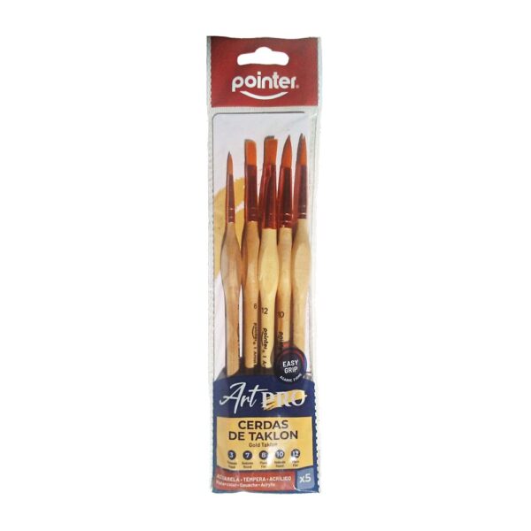 POINTER PINCEL 5PC