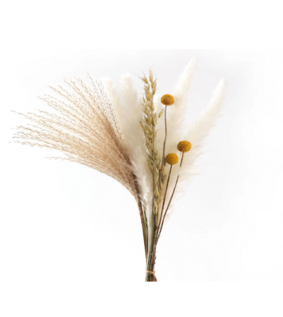 Flor seca - ZH-3 - Mayorista