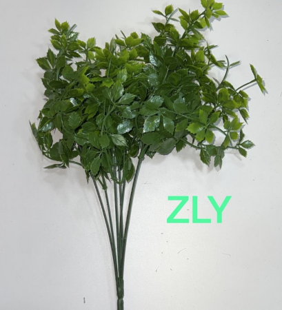 Hojas arbusto - ZLY