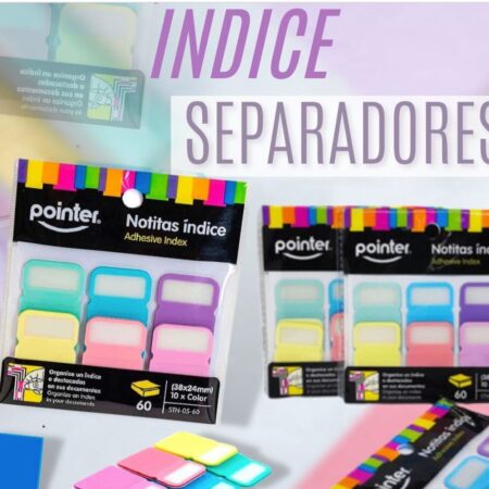 POINTER NOTITAS ÍNDICE