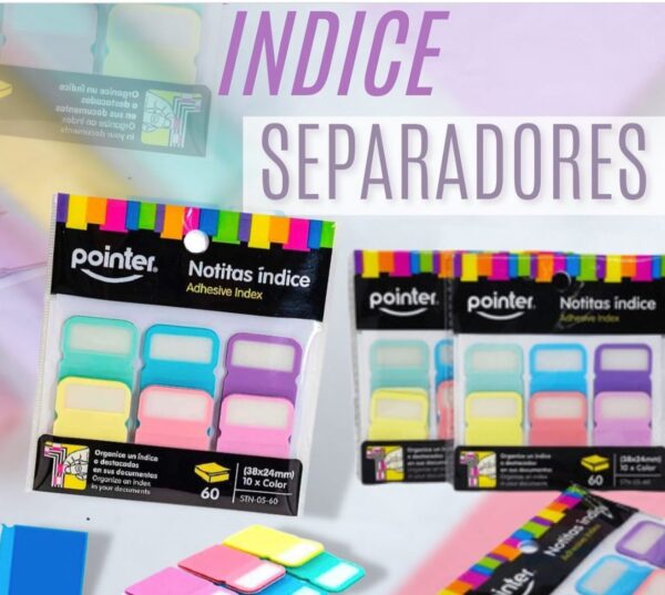 POINTER NOTITAS ÍNDICE