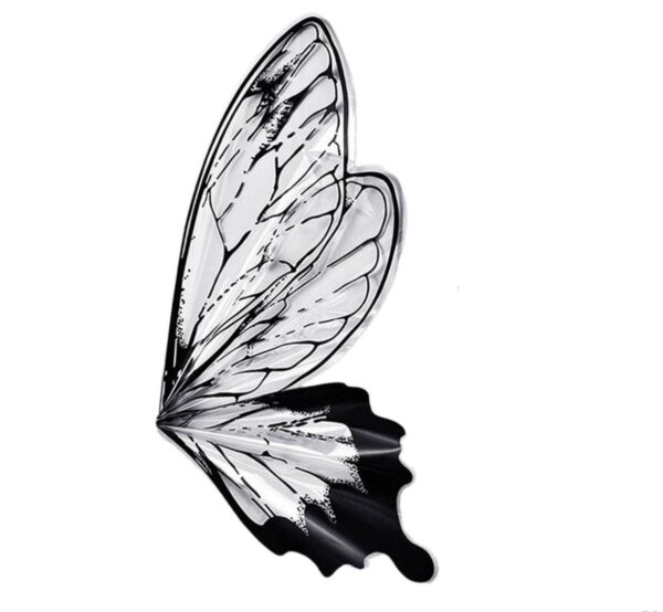 ALAS DE MARIPOSA - Imagen 2