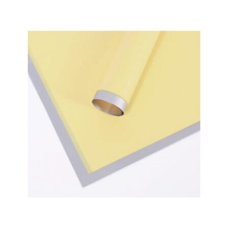 PAPEL COREANO CON BORDE PLATEADO 20U
