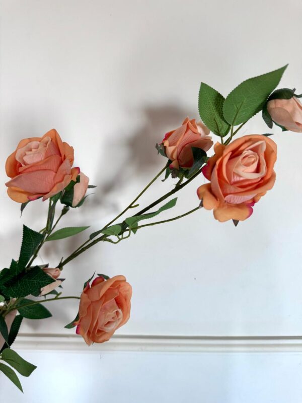 ROSA 115CM - LB