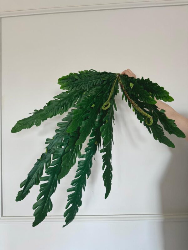 HELECHO 90CM