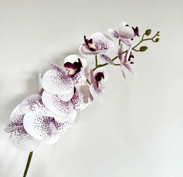 ORQUIDEA - GJX-9