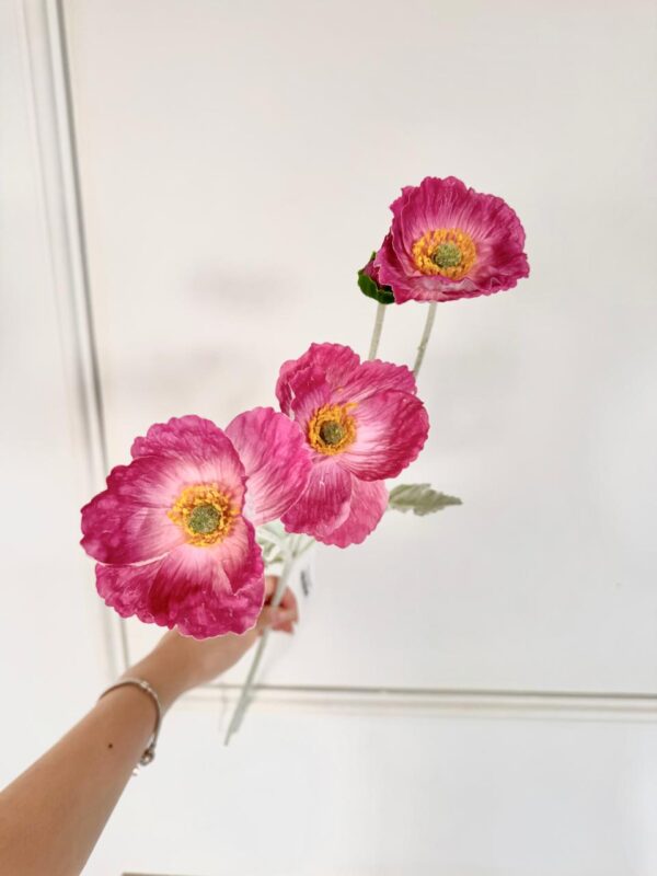 AMAPOLA - KX240205