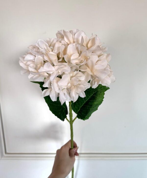 HORTENSIA VARA 70CM - Imagen 2