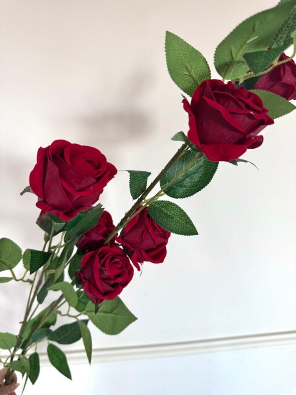 ROSA 115CM - LB