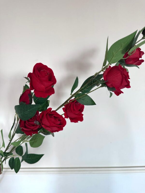 ROSA 115CM - LB