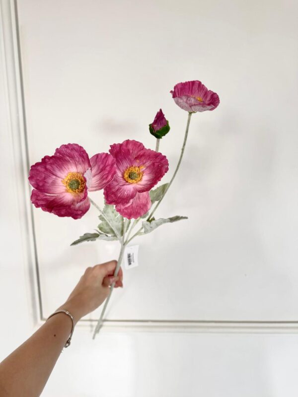 AMAPOLA - KX240205 - Imagen 2